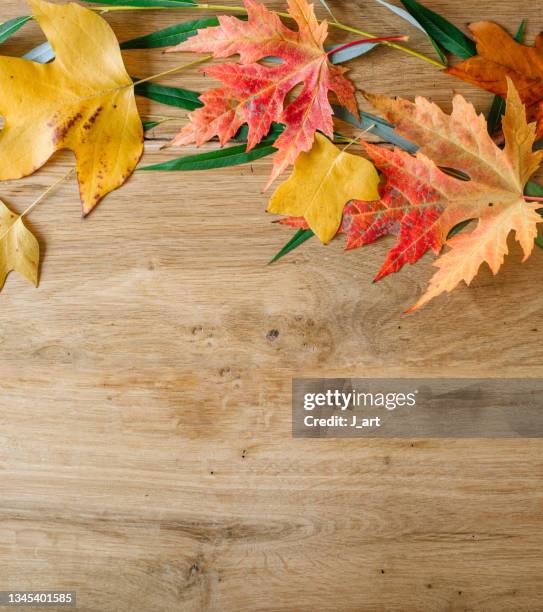beautiful autumn colors at the table - table top view stock pictures, royalty-free photos & images