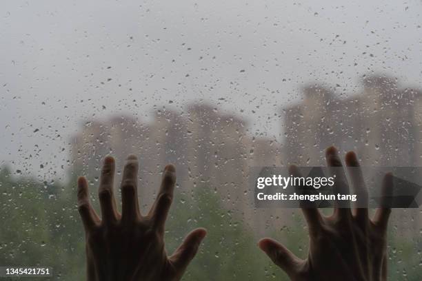 hoping freedom life - held captive stock pictures, royalty-free photos & images