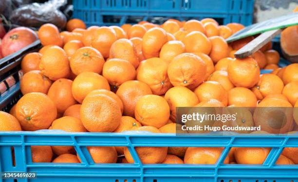 fresh fruit and vegetables displayed in trays on a market in the netherlands. orange tangerines in a tray. - bio markt photos et images de collection