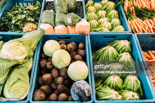 fresh fruit and vegetables displayed in trays on a market in the netherlands - bio markt photos et images de collection