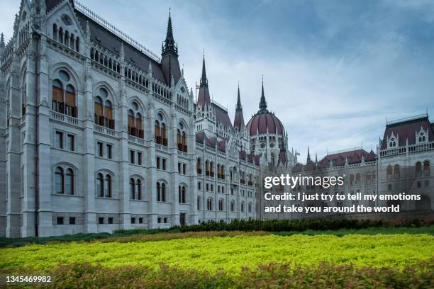 budapest, hungary - the parliament view - hungary forint stock pictures, royalty-free photos & images