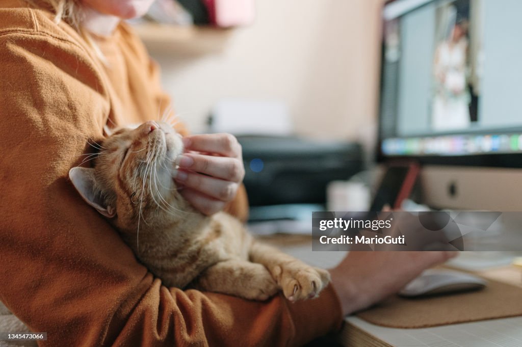 Frau streichelt eine Katze, während sie auf ihrem Schreibtisch sitzt