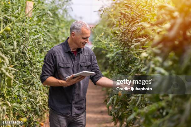 technology makes farming that much simpler - internet of things agriculture stock pictures, royalty-free photos & images