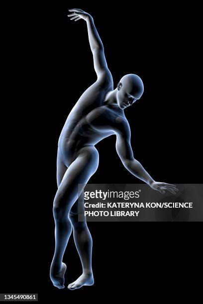 ballet dancer, illustration - human skeletal system stock illustrations