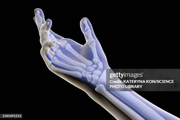 human hand bones, illustration - alles aus einer hand stock-grafiken, -clipart, -cartoons und -symbole