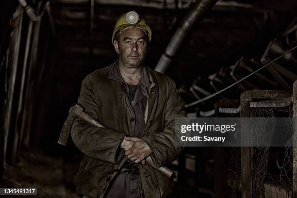miner - pickaxe stock pictures, royalty-free photos & images