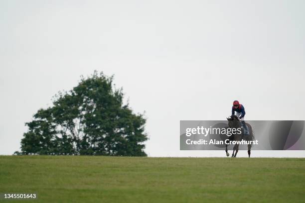 Leigh Roche 106 Newmarket Academy Stock Photos, High-Res Pictures, and Images ...