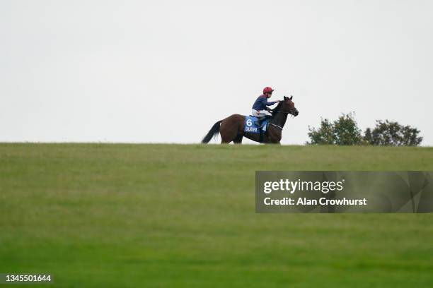 Leigh Roche 53 Newmarket Academy Stock Photos, High-Res Pictures, and Images ...