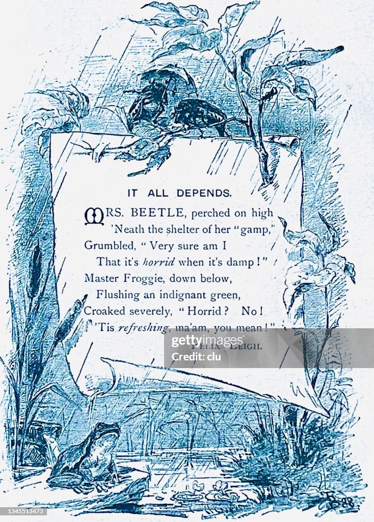 The Frog and The Beetle in conversation