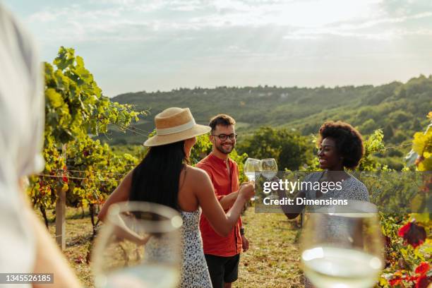 toasting to better days - winery people stock pictures, royalty-free photos & images