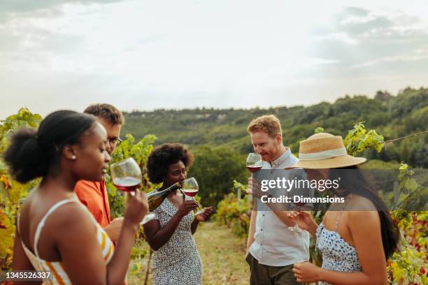 amici che hanno un bicchiere di vino all'aperto - degustazione di vino foto e immagini stock