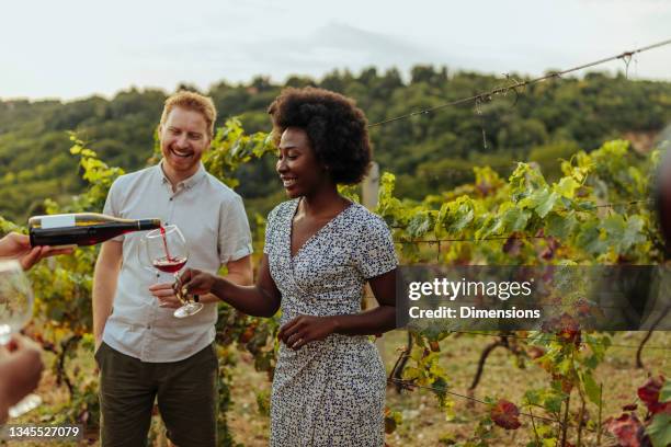 dégustation de vin dans le vignoble - oenologie photos et images de collection