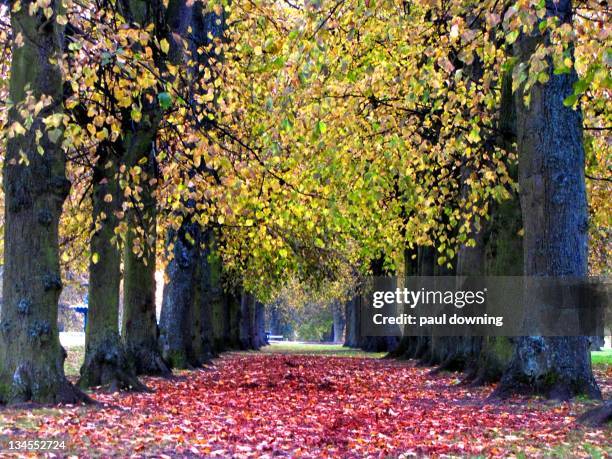 John Ropner 17 Ropner Park Stock Photos, High-Res Pictures, and Images - Getty Images