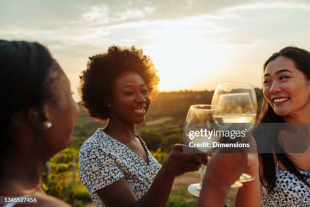 friends enjoying good moments together in vineyard - grape vineyard stock pictures, royalty-free photos & images