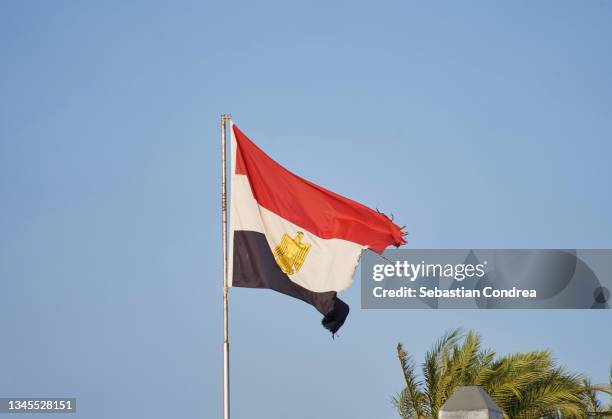 egyptian flag at half old - ägyptische flagge stock-fotos und bilder