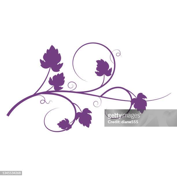 grapevine design ornamente - vinyard stock-grafiken, -clipart, -cartoons und -symbole