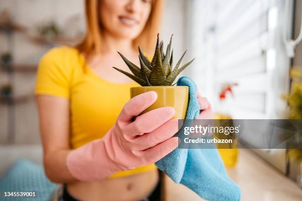 donna che pulisce il vaso di fiori con un panno - spolverare foto e immagini stock