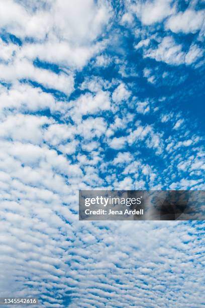 cirrocumulus clouds, sky with fluffy clouds - 巻積雲 ストックフォトと画像