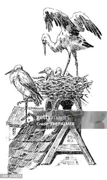 storchennestgravur 1899 - nest stock-grafiken, -clipart, -cartoons und -symbole