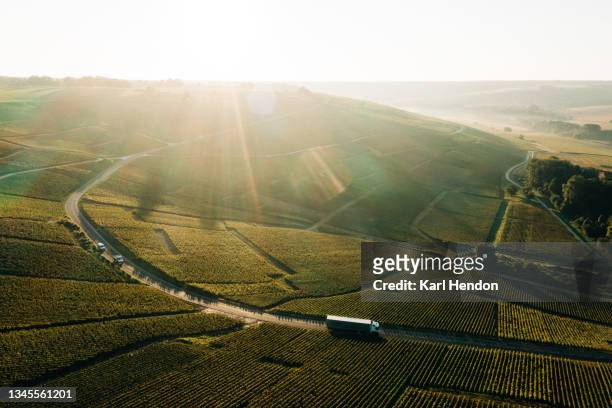 vineyards in the champagne region of france at sunrise - stock photo - farm truck stock pictures, royalty-free photos & images