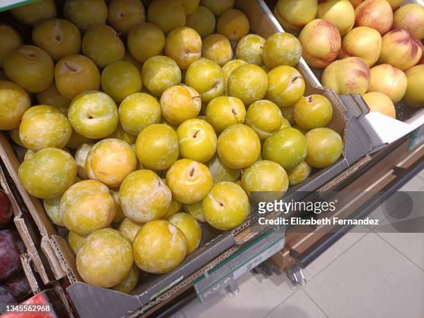 mirabelle plums or cherry plums. these plums are grown in many parts of the world, in spain especially in the area of galicia, aragon and lleida. it is eaten fresh as a dessert as it is very juicy and sweet but also used in baking or to make jams. - mirabelle plum stock pictures, royalty-free photos & images