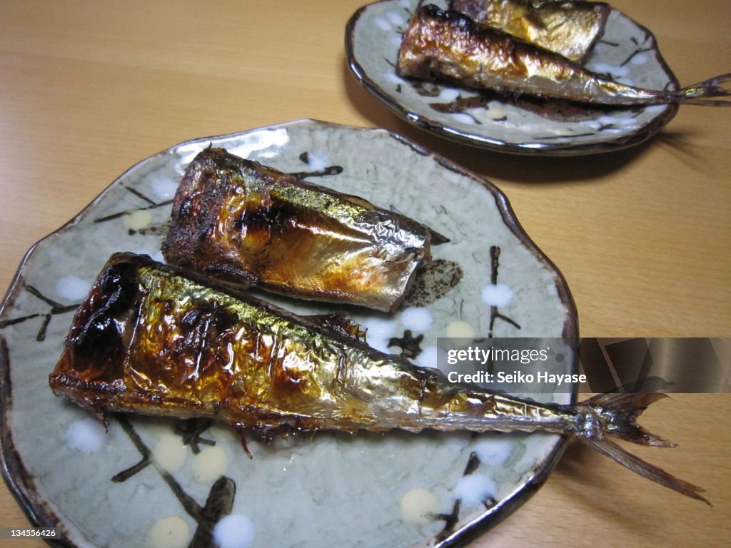 Sauries