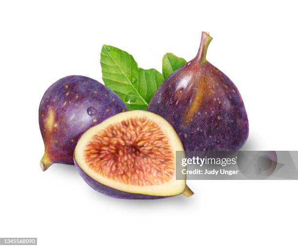 fig trio - photo realism stock illustrations