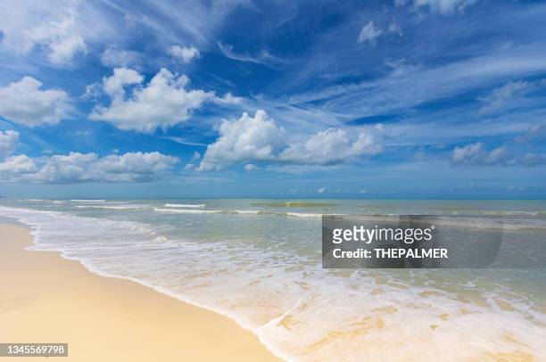 waves - naples florida beach - naples florida stock pictures, royalty-free photos & images
