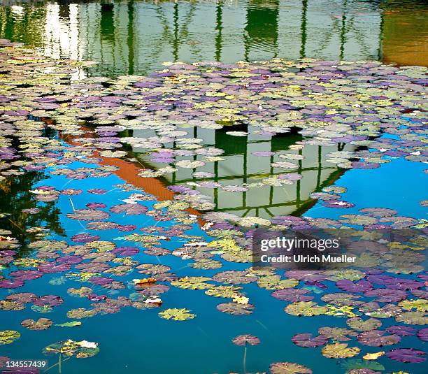 pool reflections - fachwerk stock-fotos und bilder