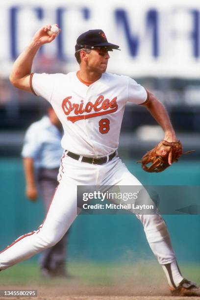 4,706 Cal Ripken” Baseball Stock Photos, High-Res Pictures, and Images ...