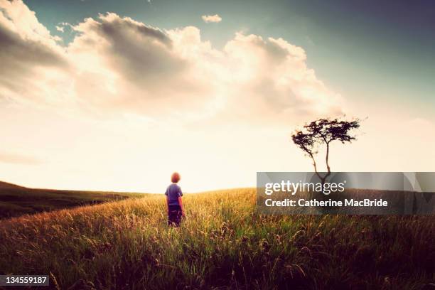 human on landscape - grass looking distance stock-fotos und bilder