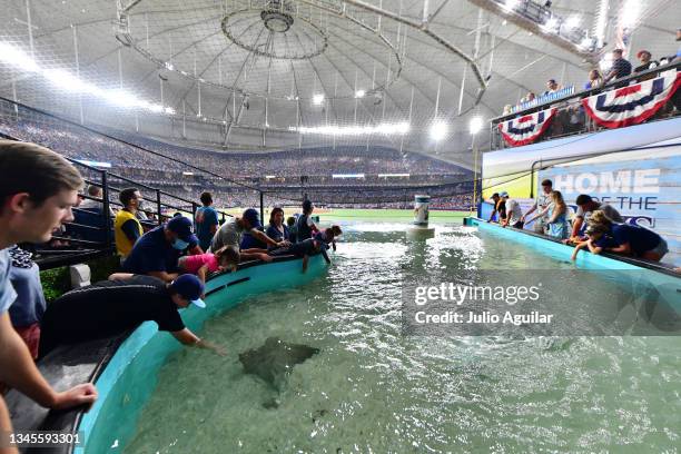 Fans gather around a tank featuring rays during Game 2 of the American League Division Series between the Tampa Bay Rays and the Boston Red Sox at...