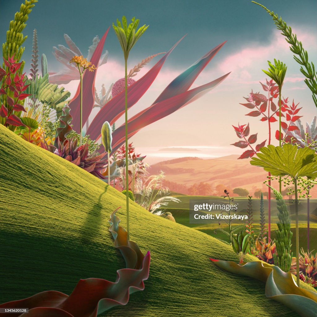 Surreal landscape