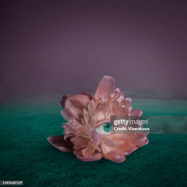 surreale fiore gigante con occhio umano - surreal foto e immagini stock