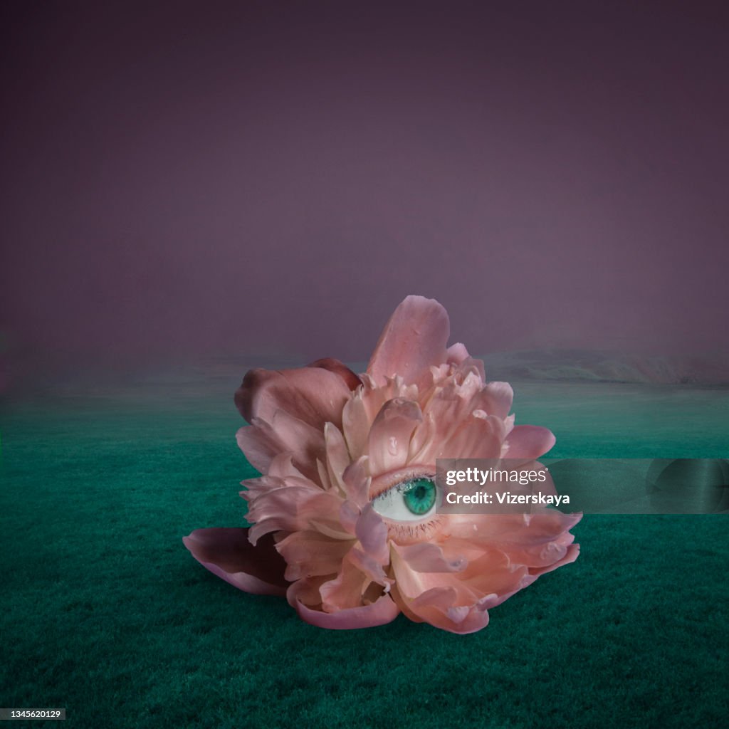 Surreal Giant Flower with human eye