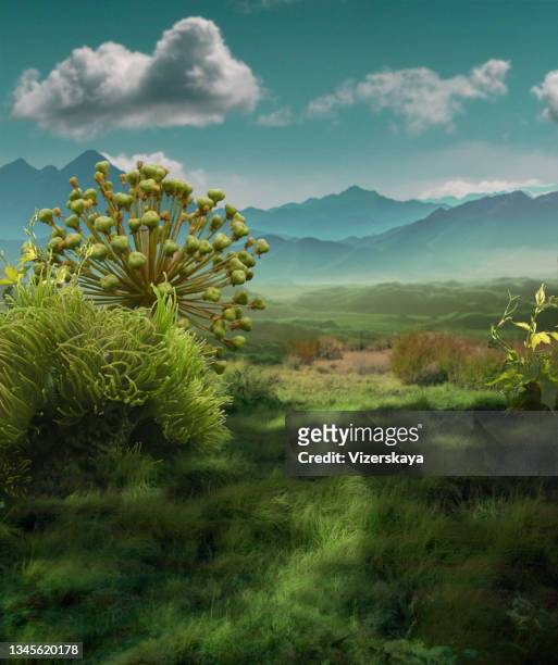 surreales landskape - bush live stock-fotos und bilder