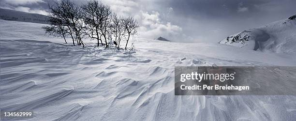 sunset snowdrifts in the mountains - schneewehe stock-fotos und bilder