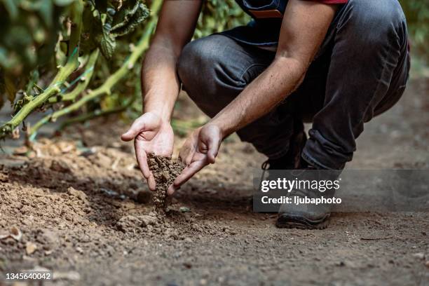 presto saranno campi di verde - indagini di clima foto e immagini stock