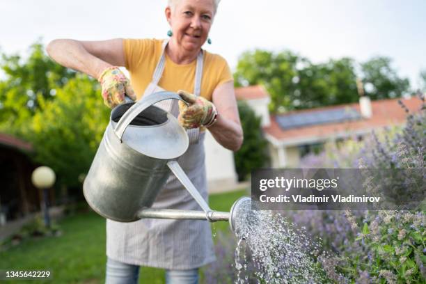 halten sie eine gießdose hoch, um die pflanzen zu gießen - person holding flowers with high energy stock-fotos und bilder