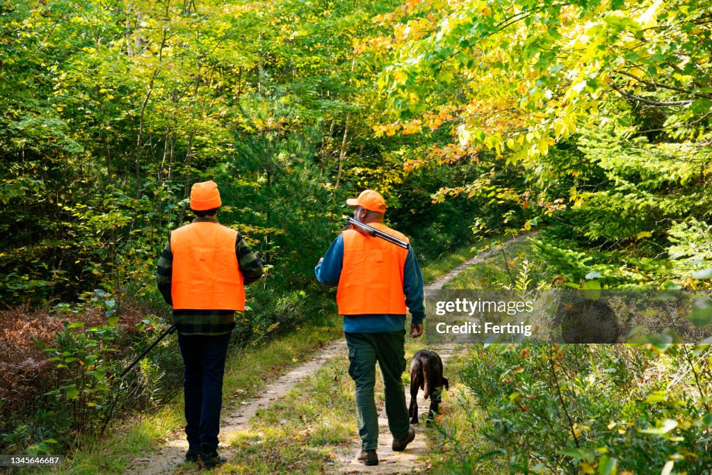 A father bird hunting with his son.