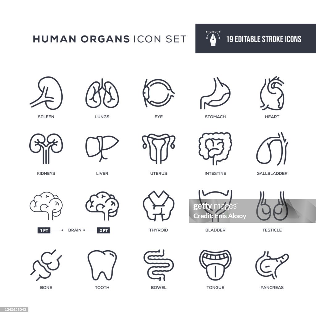Ícones da linha de traçado editável de órgãos humanos