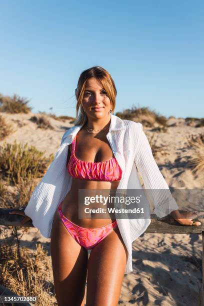 young woman with brown hair wearing bikini leaning on railing - young woman standing against clear sky ストックフォトと画像