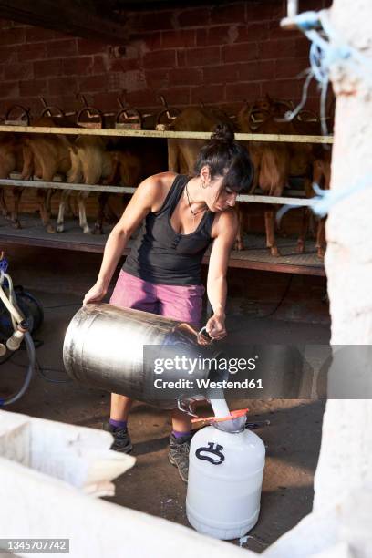 female farmer pouring milk in container at farm - bidon de lait photos et images de collection