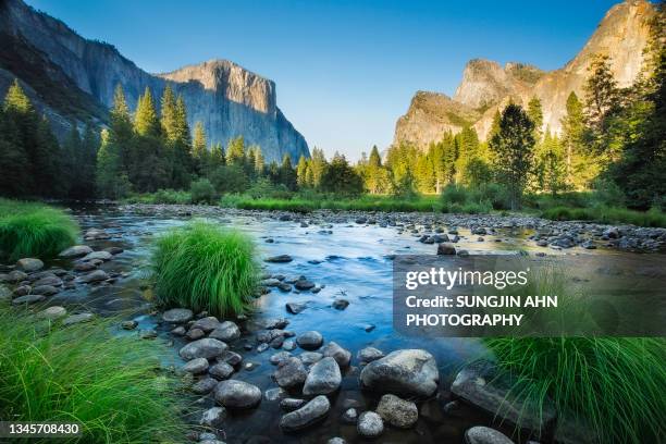 yosemite national park - yosemite national park ストックフォトと画像