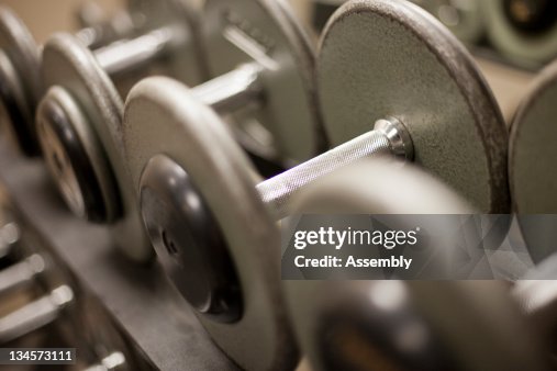 Hand weights rest on their rack. Hand weights rest on their rack.