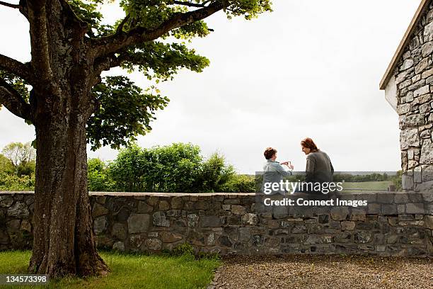 father and son sitting on stone wall - irish family stock pictures, royalty-free photos & images