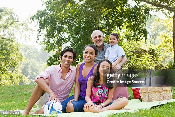 three generation family at picnic in park, portrait - indian food bildbanksfoton och bilder