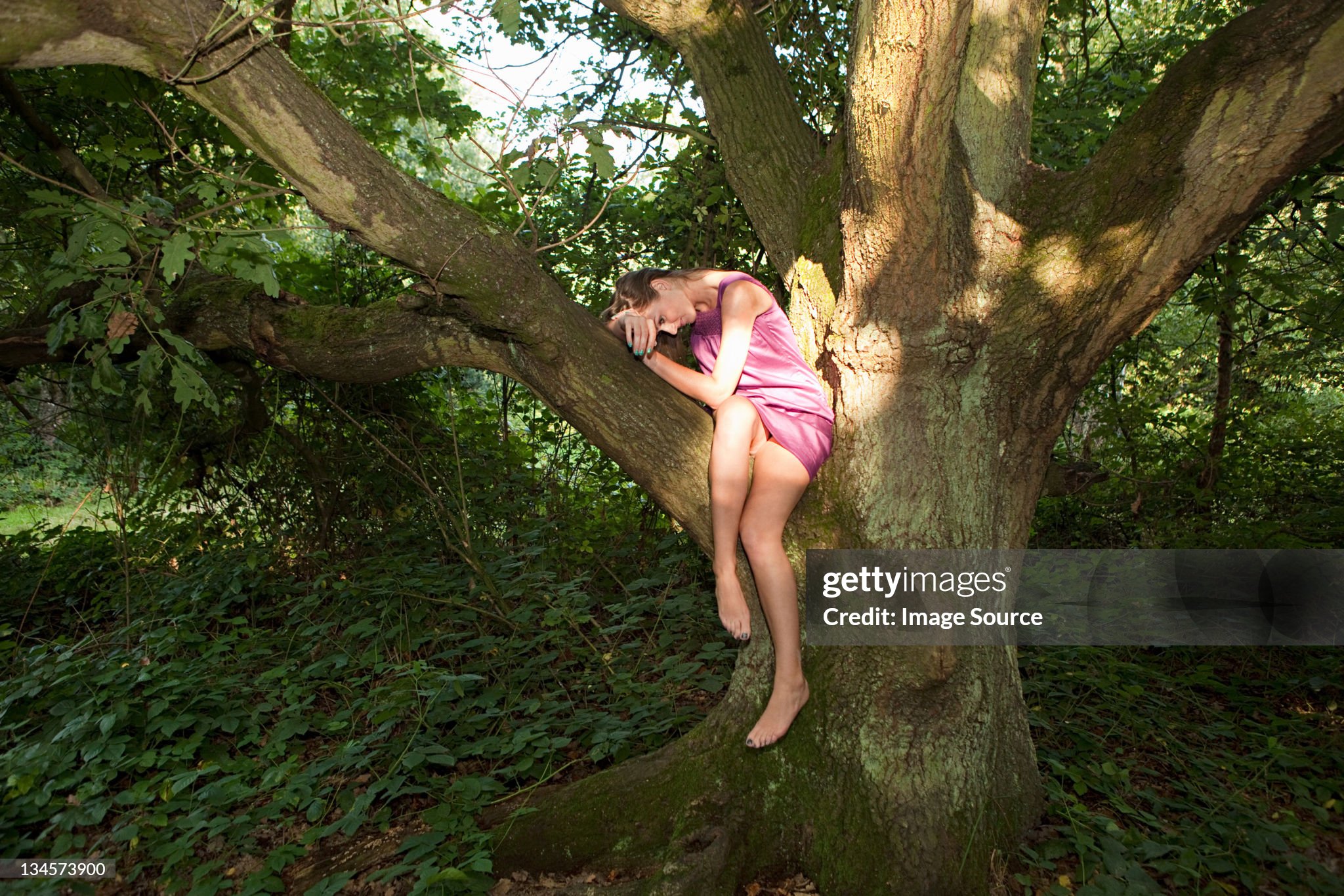 https://media.gettyimages.com/id/134573900/photo/young-woman-draped-in-an-old-oak-tree.jpg?s=2048x2048&amp;w=gi&amp;k=20&amp;c=aHZYmVTTy4ELFAxaRIMWxbHTQNhy5NVEg4hNg5mbYik=