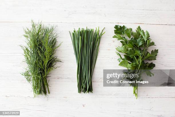 freshly cut dill, chives and flat leaf parsley - dill stock-fotos und bilder