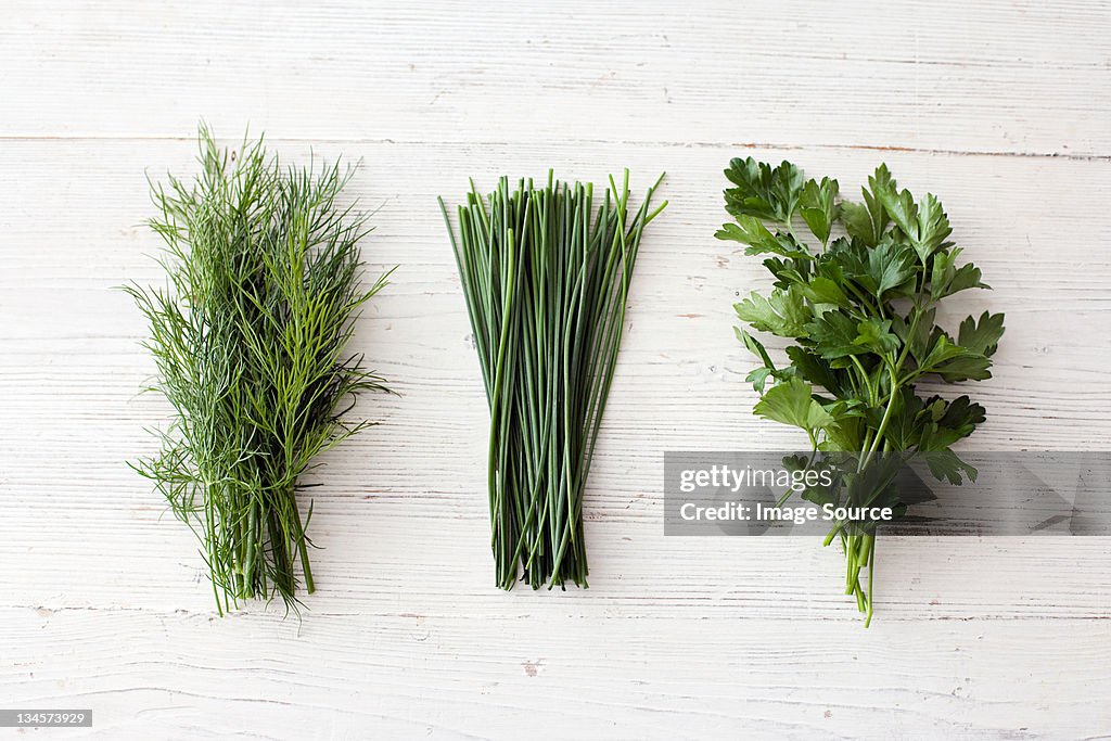 Freshly cut dill, chives and flat leaf parsley